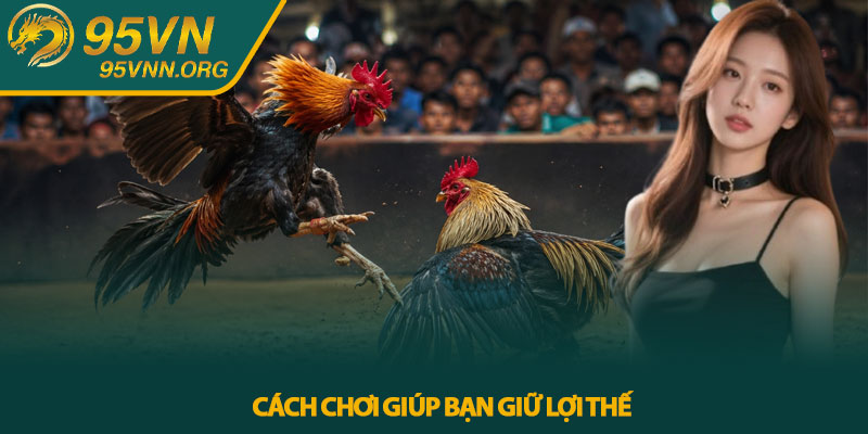 Đá Gà Thomo - Bí Kíp Chơi Khôn Ngoan Tại 95VN Hiệu Quả 3 Cách Chơi Giúp Bạn Giữ Lợi Thế
