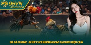 Đá Gà Thomo - Bí Kíp Chơi Khôn Ngoan Tại 95VN Hiệu Quả