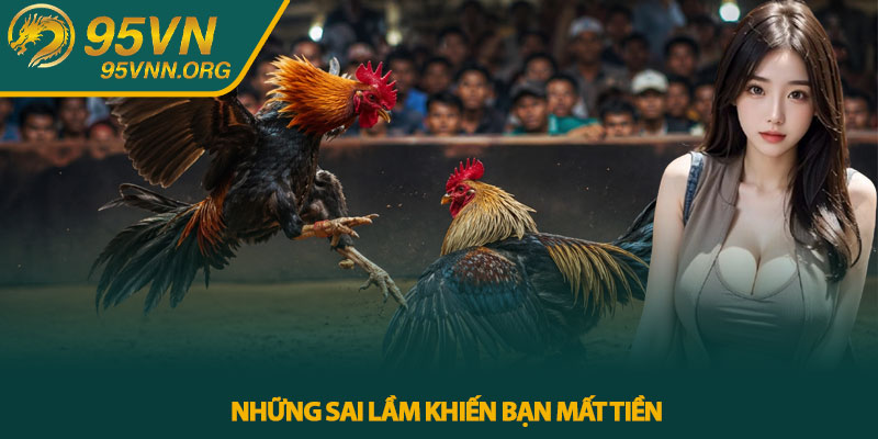 Đá Gà Thomo - Bí Kíp Chơi Khôn Ngoan Tại 95VN Hiệu Quả 4 Những Sai Lầm Khiến Bạn Mất Tiền