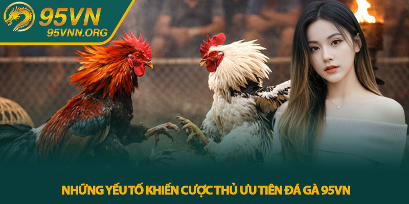 Đá gà 95VN – Trực tiếp chiến kê đỉnh cao cho cược thủ 3 Những yếu tố khiến cược thủ ưu tiên đá gà 95VN