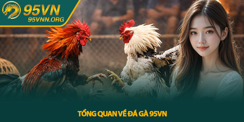 Đá gà 95VN – Trực tiếp chiến kê đỉnh cao cho cược thủ 2 Tổng quan về Đá gà 95VN